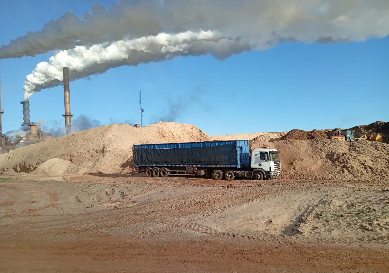 Comercialização de Biomassa